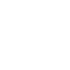 Tecnico